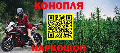 индика Малгобек